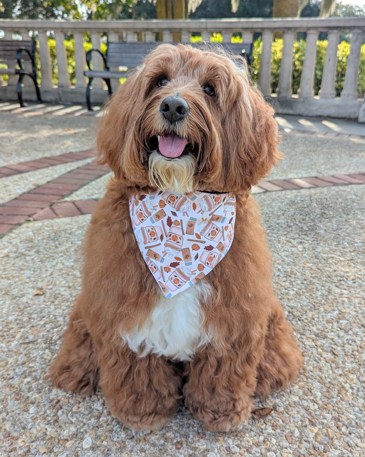 Pumpkin Spice