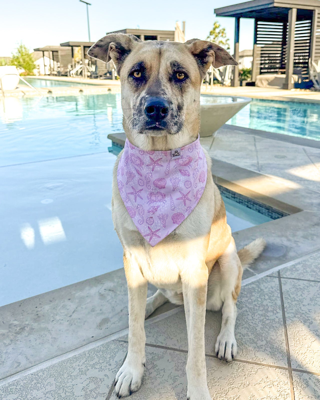 Isle of Palms- Pink