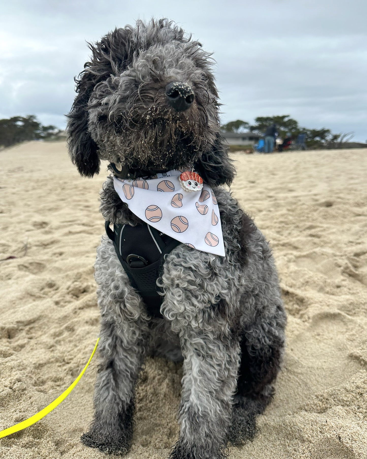 Lambie lover