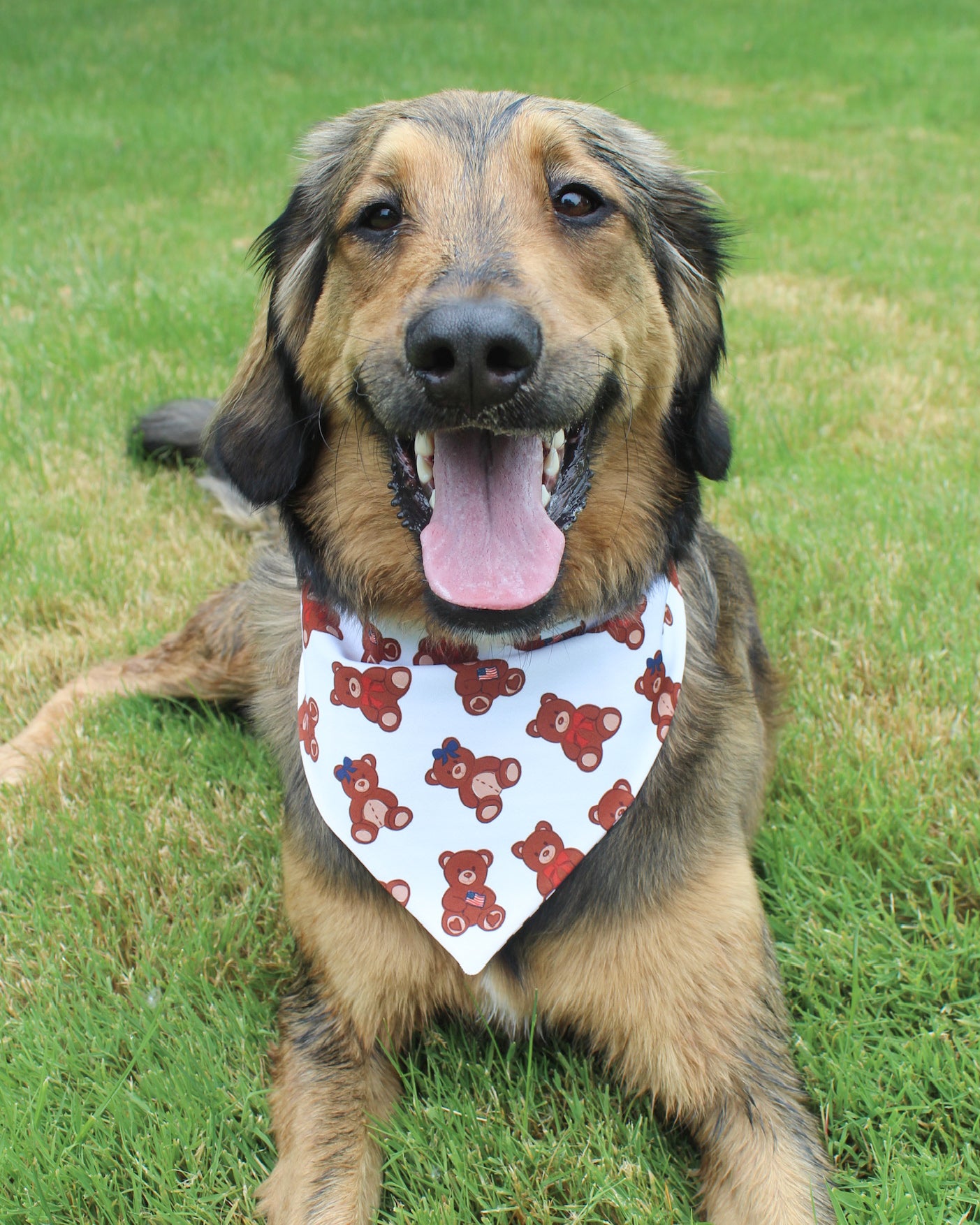 Bear-y Patriotic