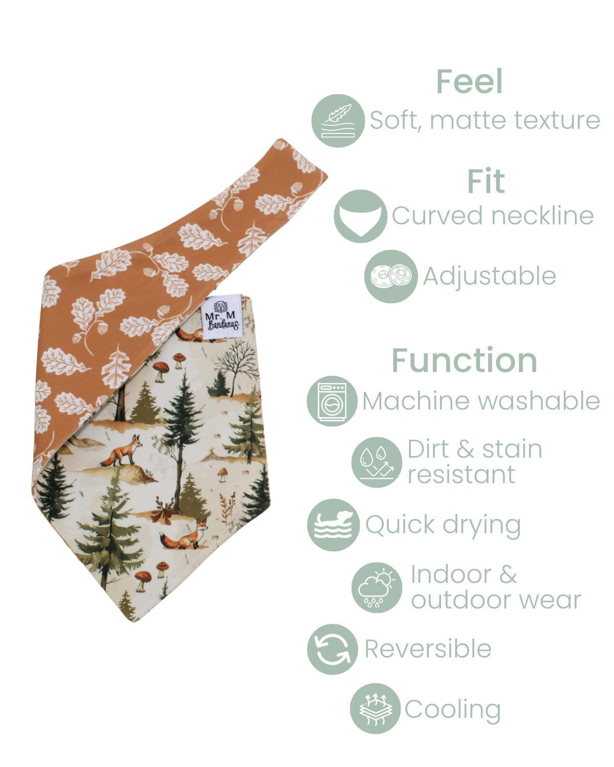 Fox & Fern