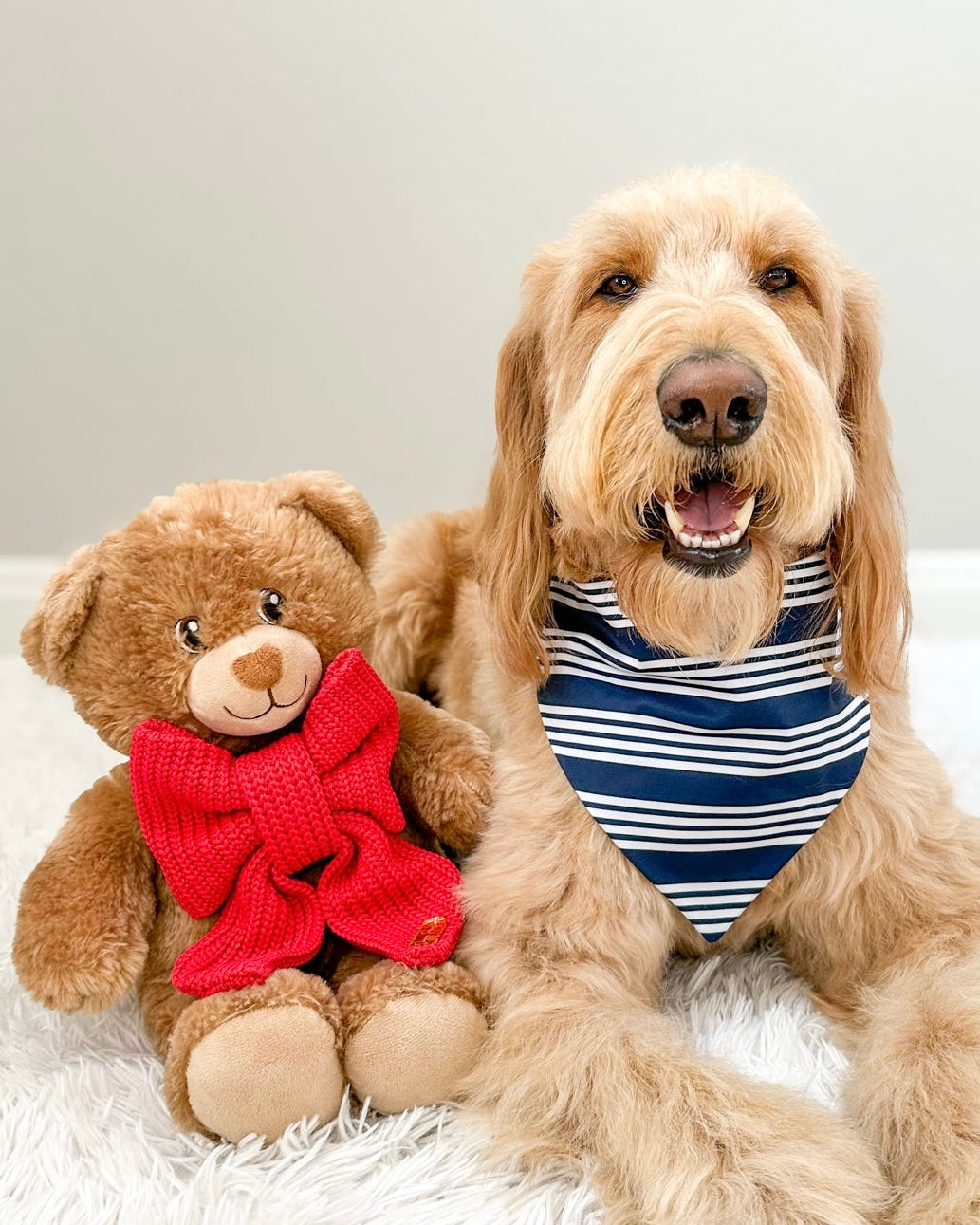 Bear-y Patriotic