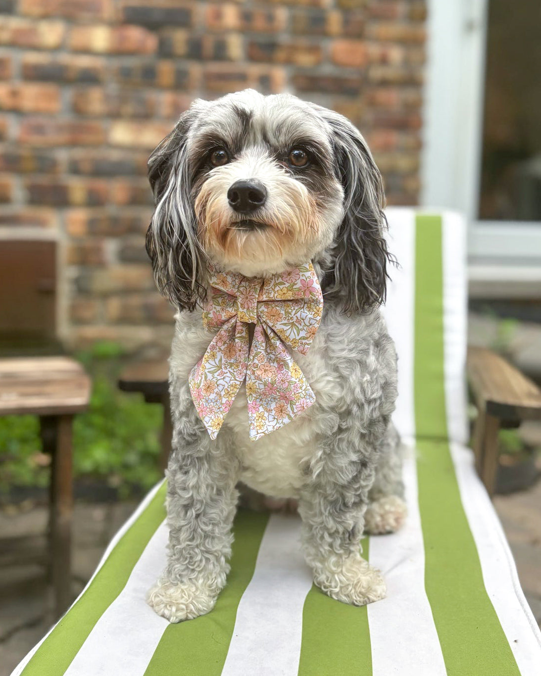 Summer Collar Bows