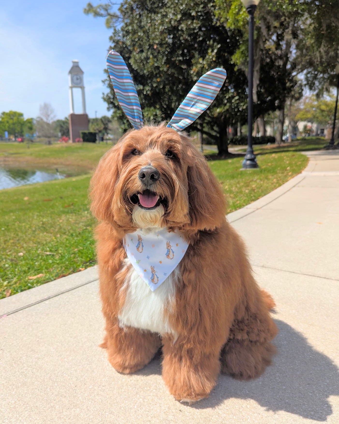 Garden Bunny