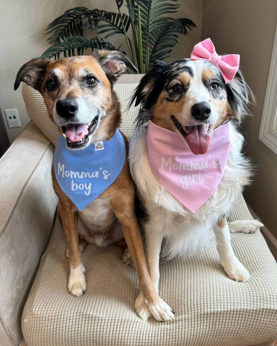 Celebration Bows- choose your graphic