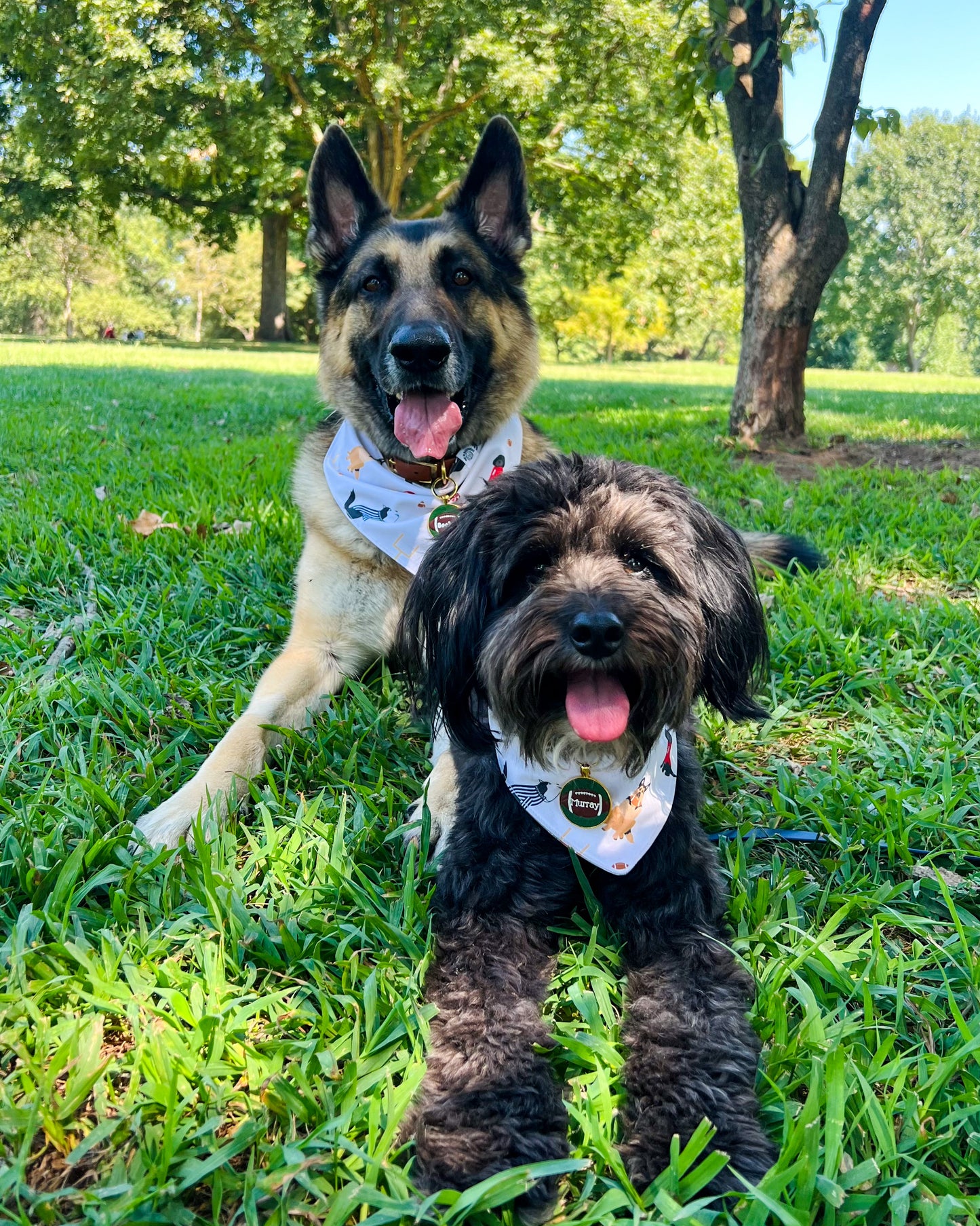 Woof Receivers- MMB exclusive