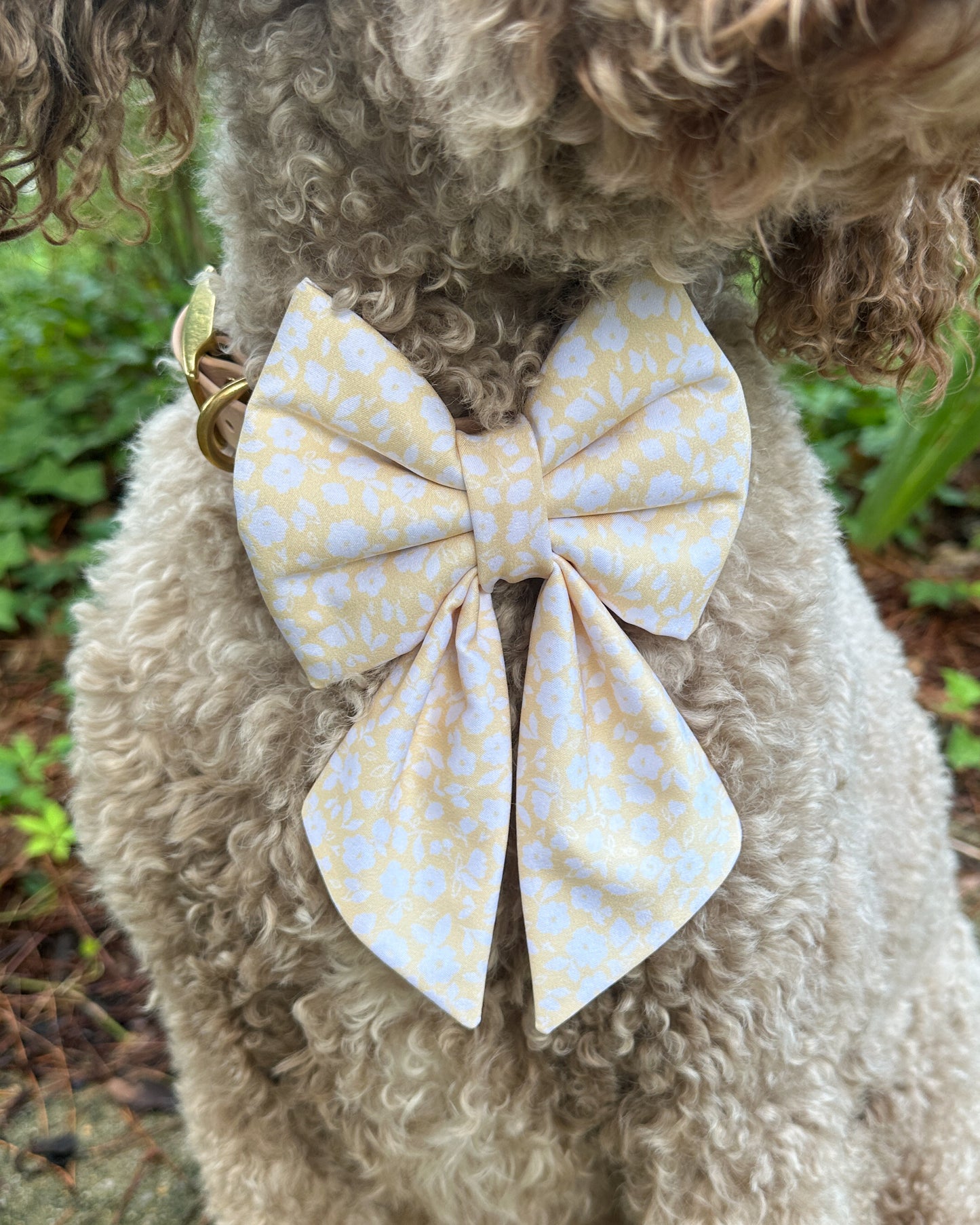 Summer Collar Bows