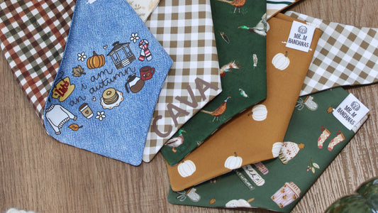 Introducing BYOB: Build Your Own Bandana