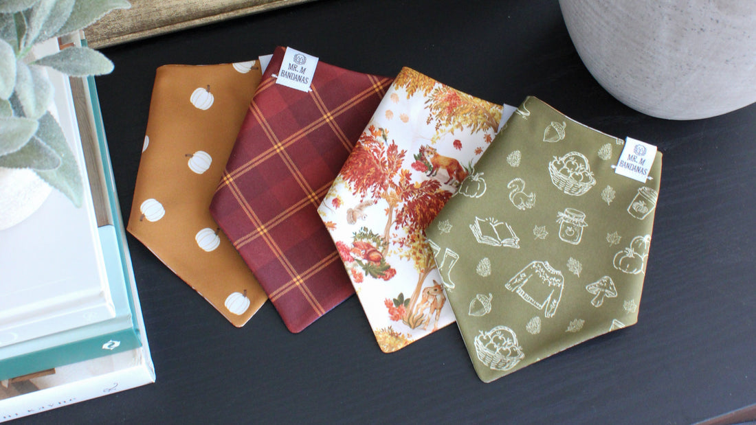 Autumn Adventures Collection