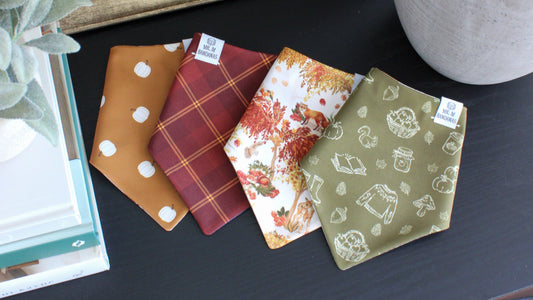 Autumn Adventures Collection