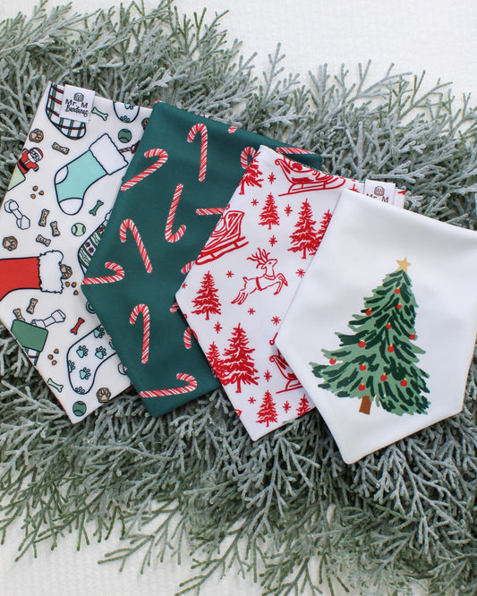 Celebrate the Season with the Holly Jolly Collection! 🎄✨