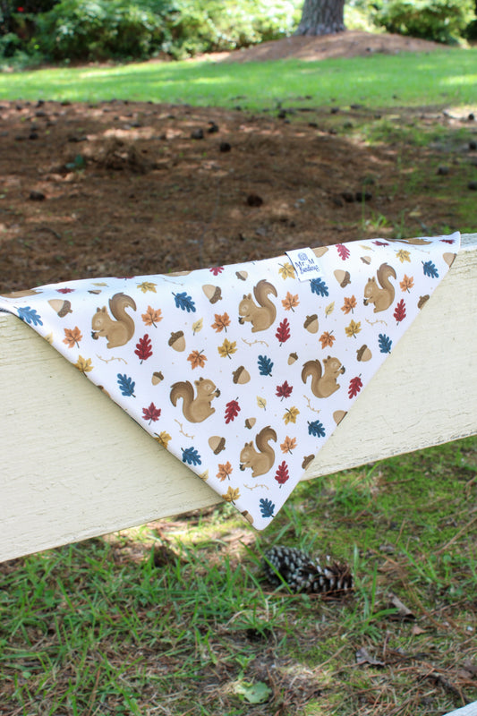 Introducing the Trail & Tailgate Collection