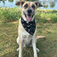 Fall BYOB (build your own bandana)