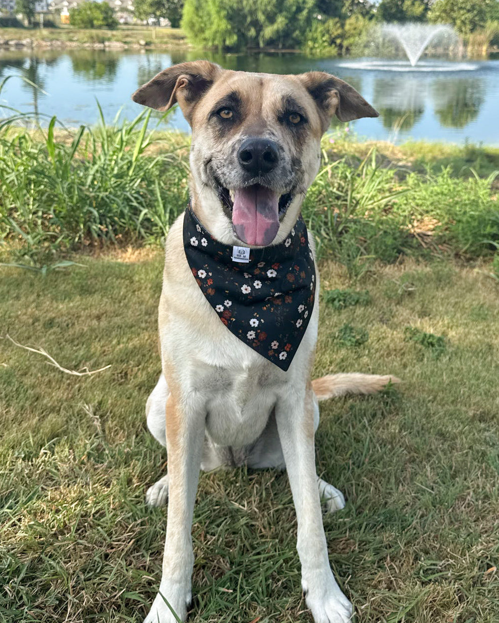 Fall BYOB (build your own bandana)