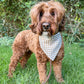 Fall BYOB (build your own bandana)