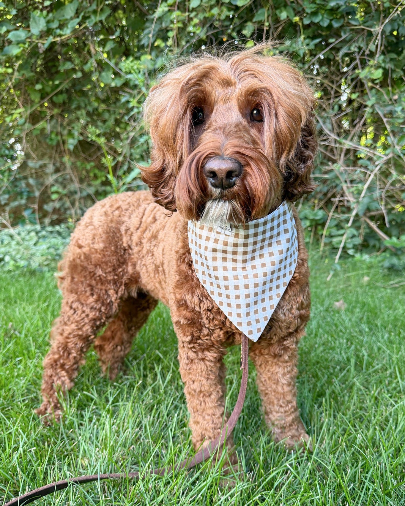 Fall BYOB (build your own bandana)