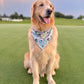 Bark ranger- choose your colorway!