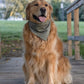 Fall BYOB (build your own bandana)