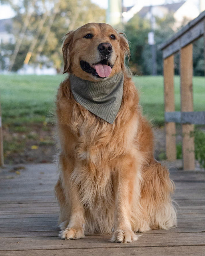 Fall BYOB (build your own bandana)