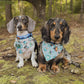 Bark ranger- choose your colorway!