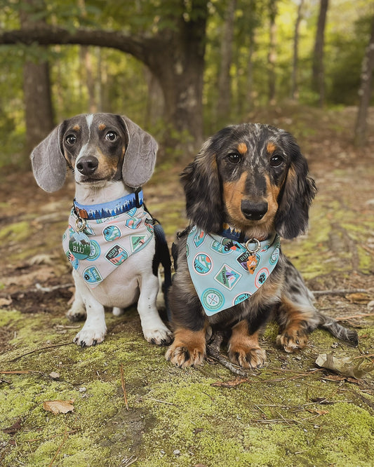 Bark ranger- choose your colorway!