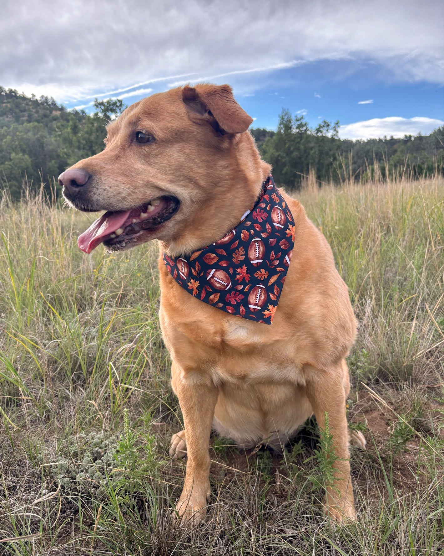 Fall BYOB (build your own bandana)
