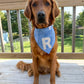 Fall BYOB (build your own bandana)