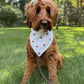 Fall BYOB (build your own bandana)