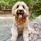 Fall BYOB (build your own bandana)