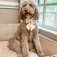 Summer Collar Bows
