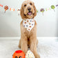 Trick or Treat- MMB Exclusive