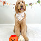 Trick or Treat- MMB Exclusive