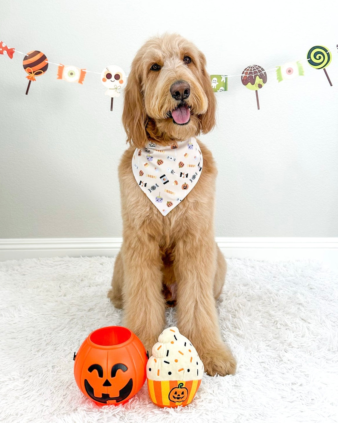 Trick or Treat- MMB Exclusive