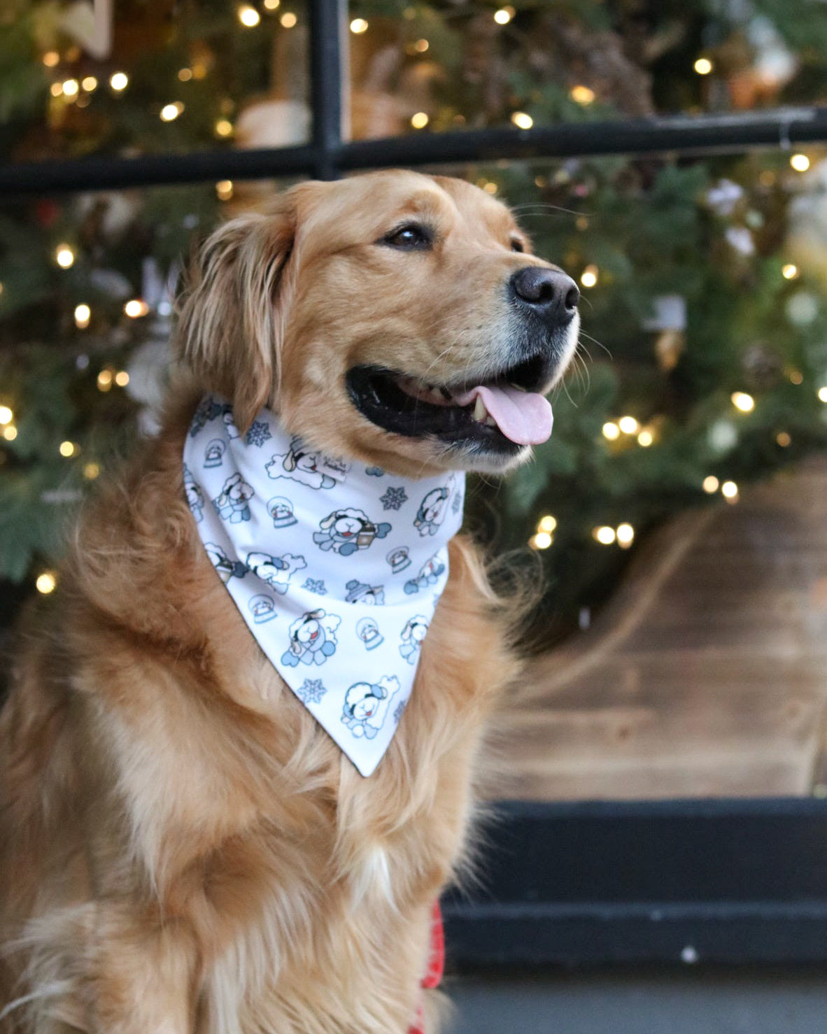 Holiday Lambie- MMB Exclusive