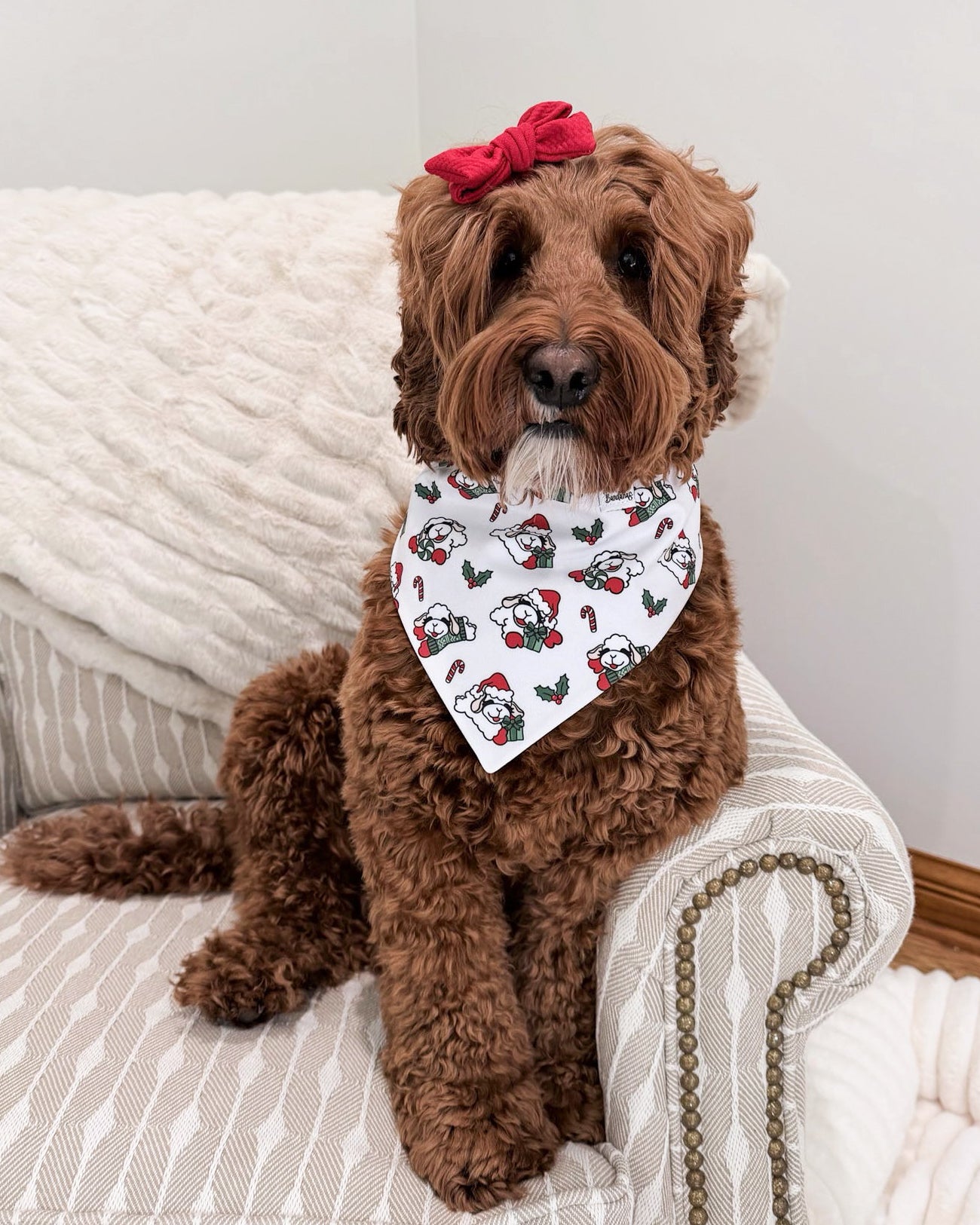 Holiday Lambie- MMB Exclusive