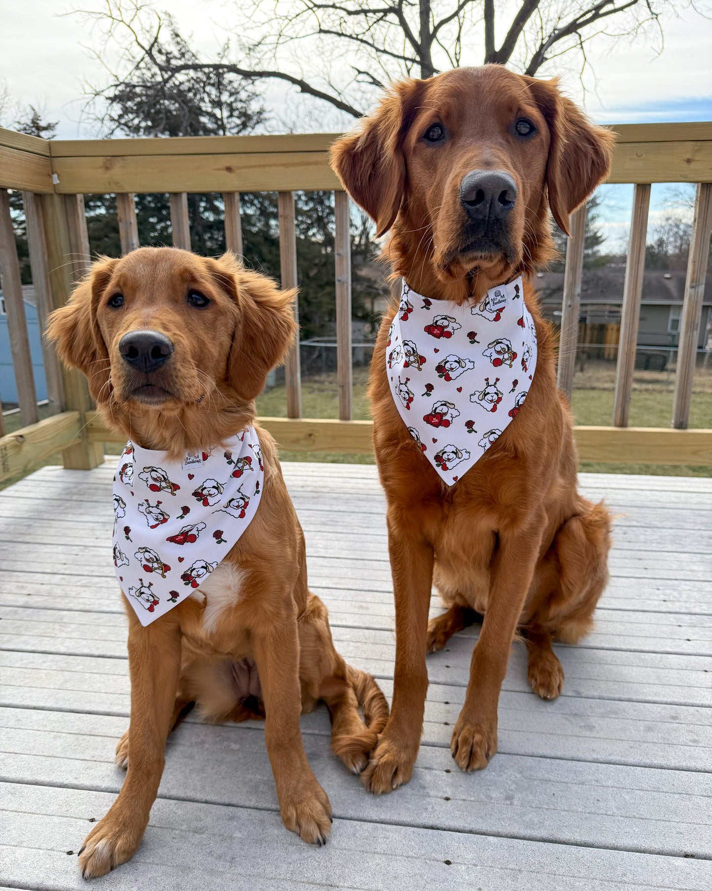 Lucky in Love Lambie- MMB Exclusive