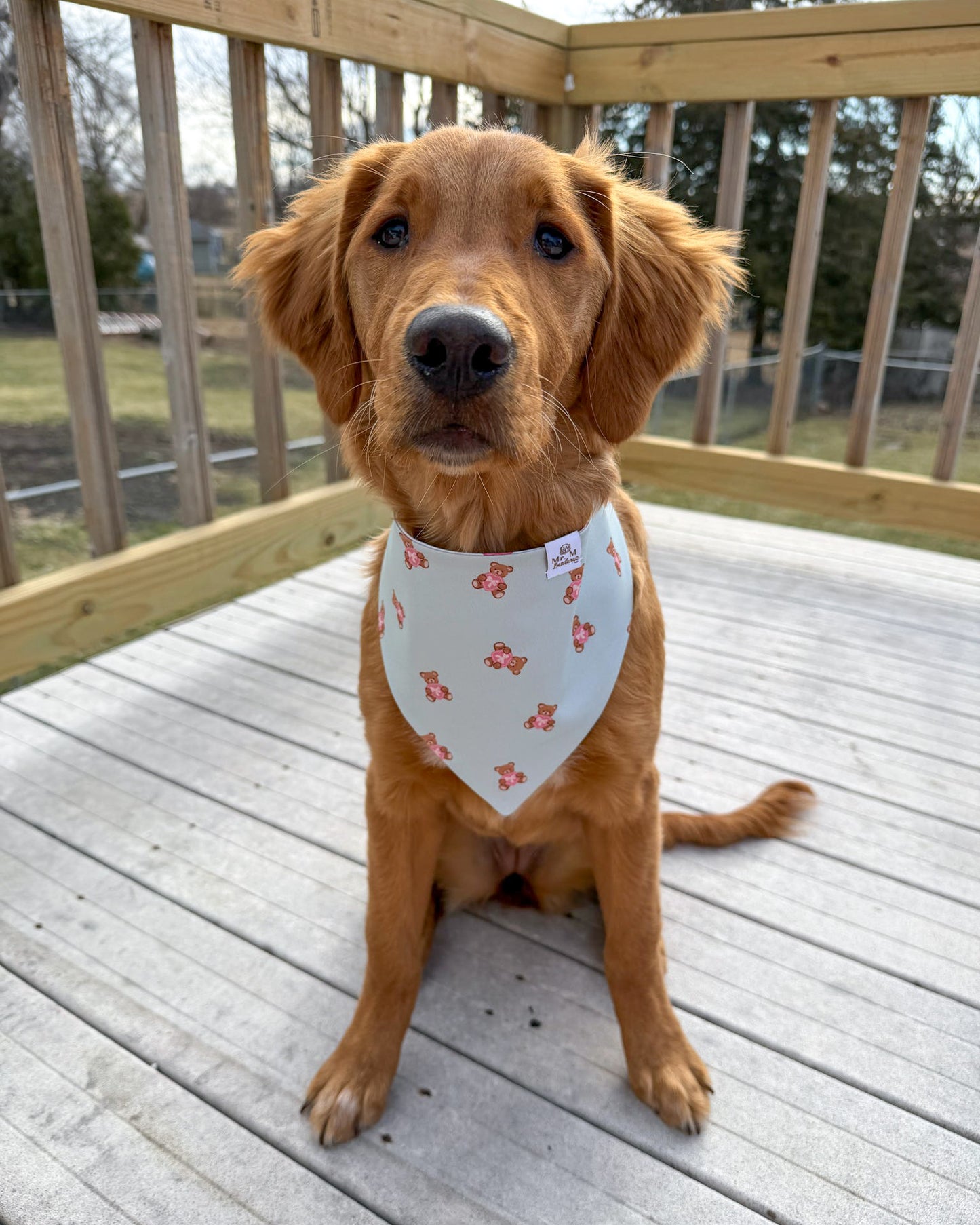 Dog wearing a bandana sitting on a wooden deck