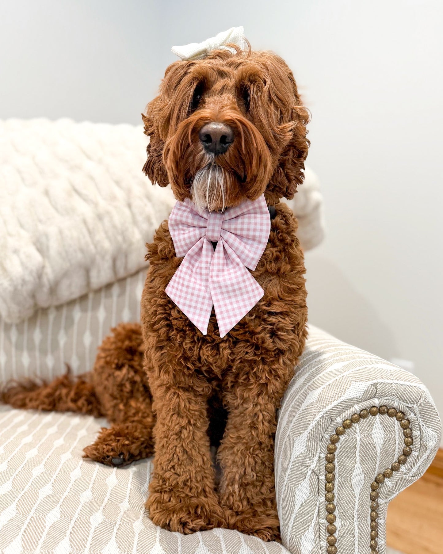 Lucky in Love Collar Bows