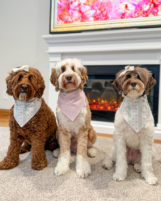 Three dogs wearing bandanas sitting in front of a fireplace.