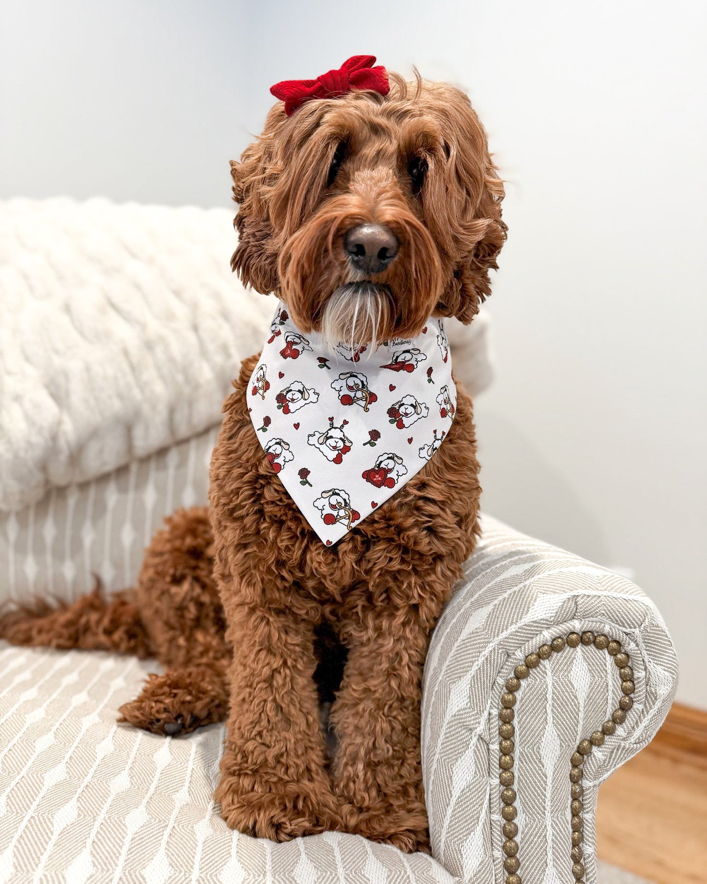 Lucky in Love Lambie- MMB Exclusive