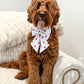 Lucky in Love Collar Bows
