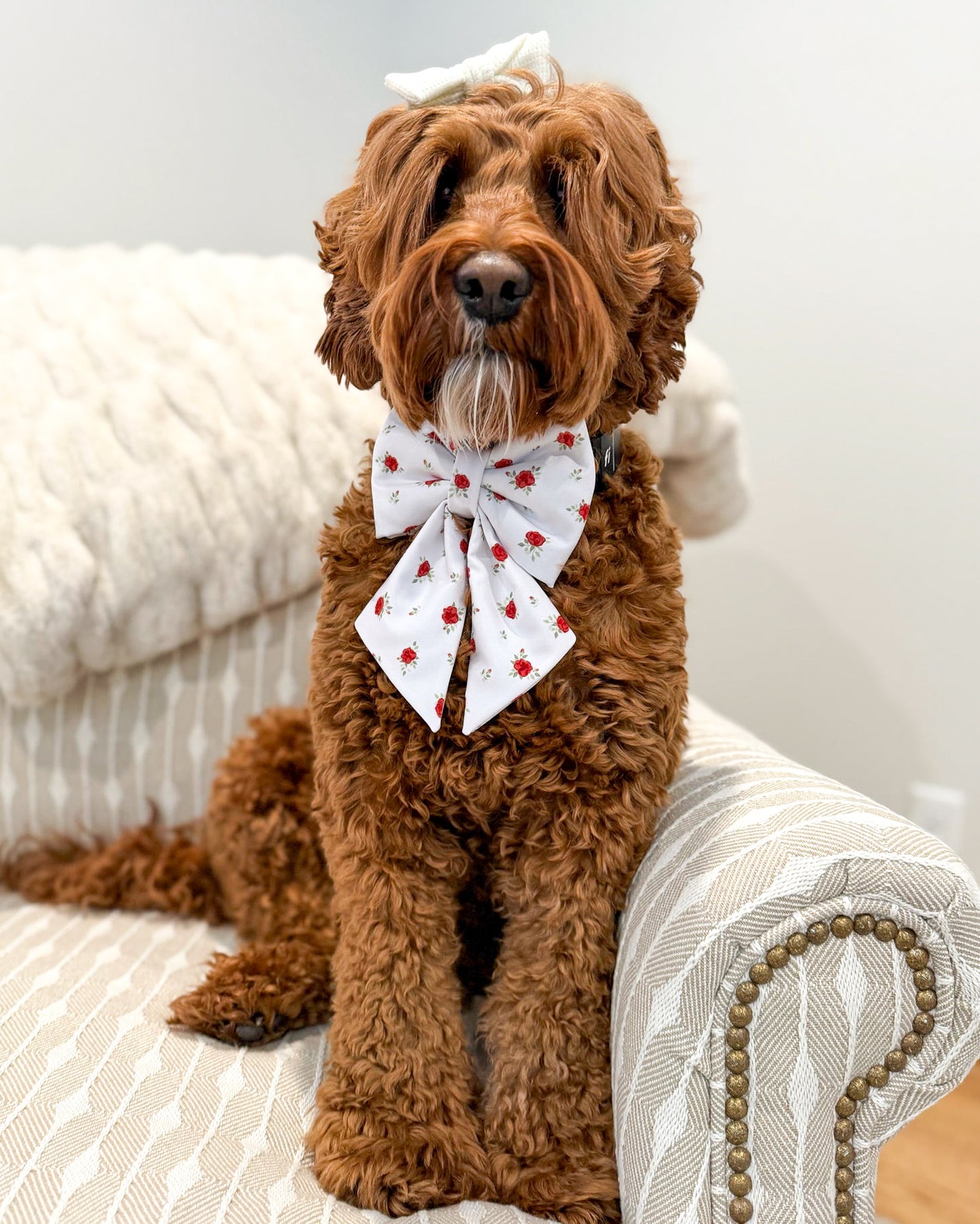 Lucky in Love Collar Bows