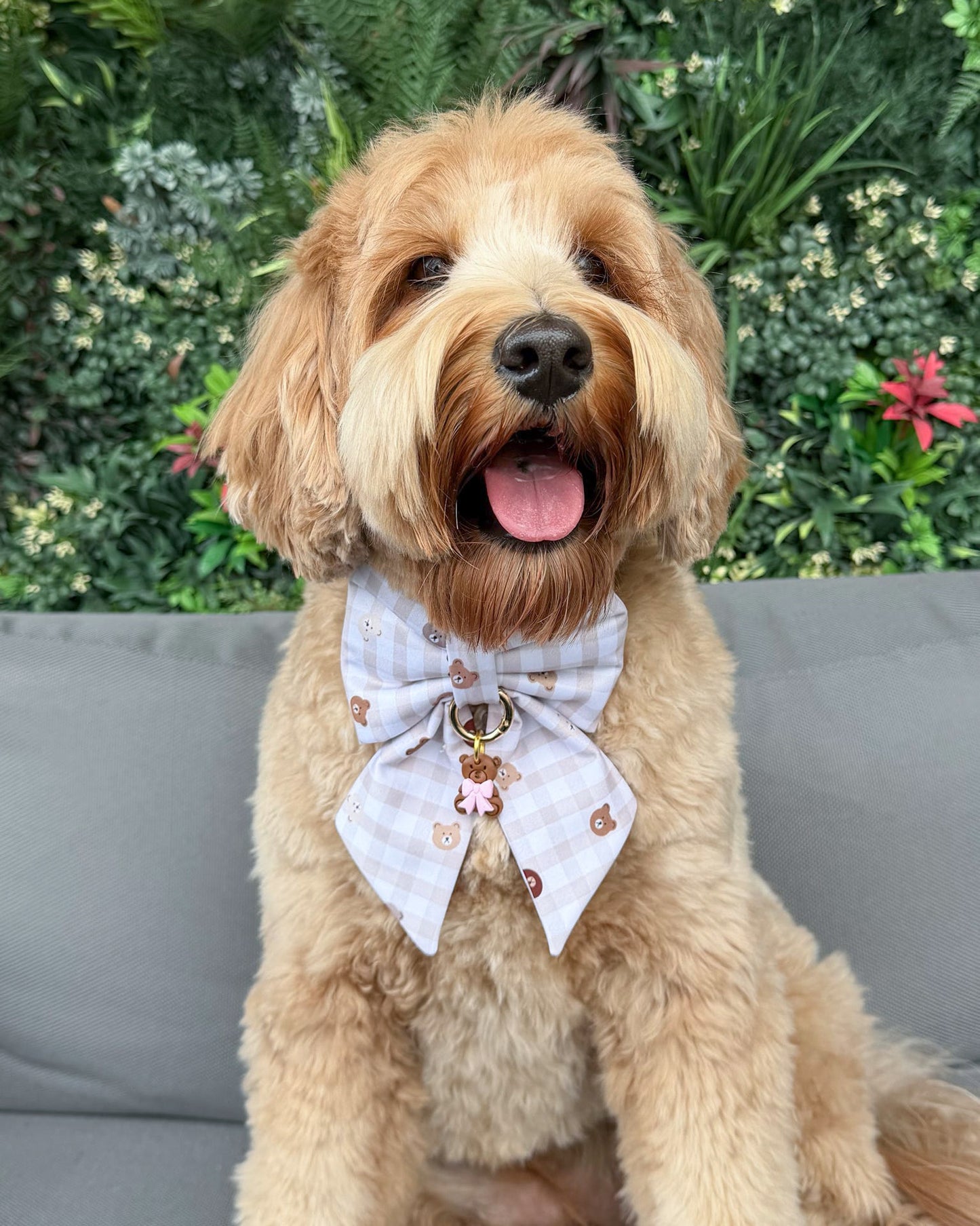 Everyday Essentials Collar Bows