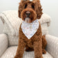 Brown dog wearing a bandana sitting on a striped chair.