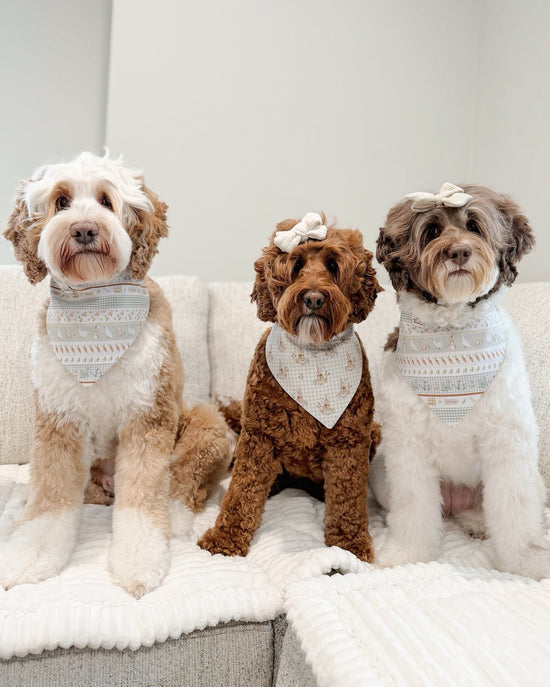 Three dogs sitting on a couch wearing matching bandanas.