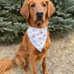 Brown dog wearing a bandana with a floral pattern, standing outdoors with trees in the background.