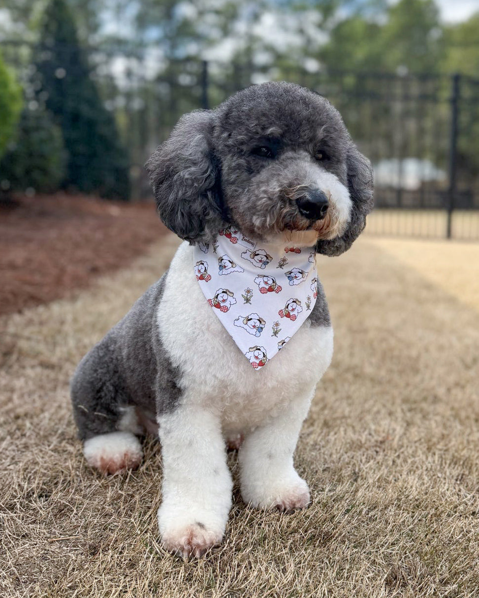 Garden Market Lambie- MMB Exclusive