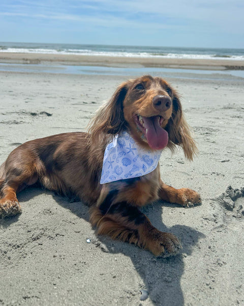 Isle of Palms- Blue