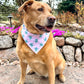 Dog wearing a bandana with a garden background