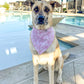 Isle of Palms- Pink